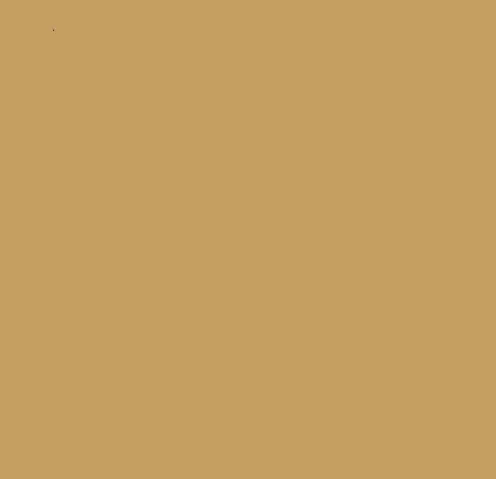 7004 CEMENT TILES_Damask_7004_2023