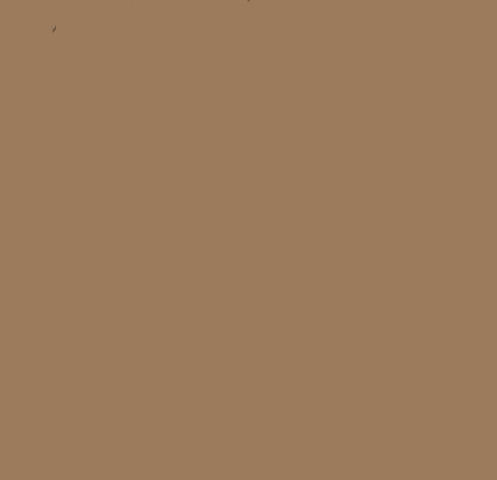 7008 CEMENT TILES_Damask_7008_2023