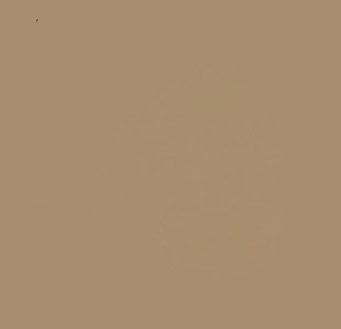 7014 CEMENT TILES_Damask_7014_2023