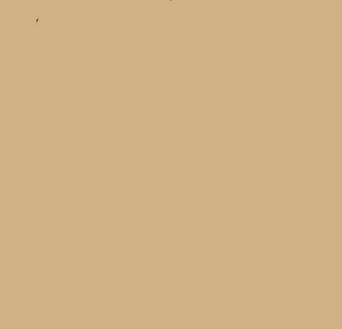 7033 CEMENT TILES_Damask_7033_2023