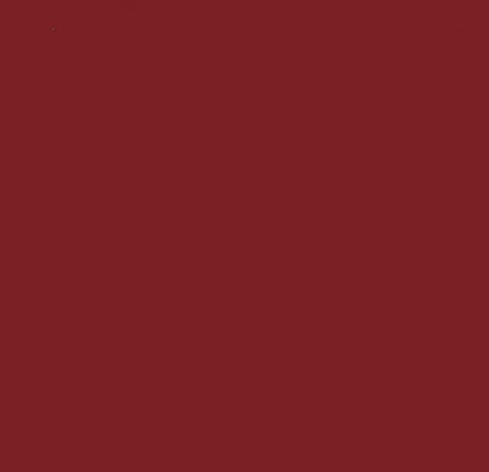 9009 CEMENT TILES_Damask_9009_2023