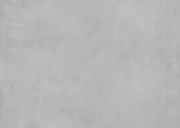 LIGHT GREY 1 LIGHT GREY 1_tile like cement_2_Damask
