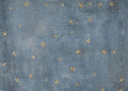 Plakaki san tsimentokonia_Skyfull of stars_5_1_Damask
