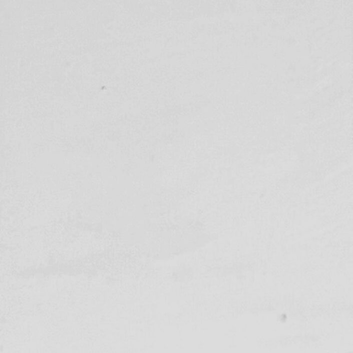 STONE chromata pilou_col_2 STONE_Damask